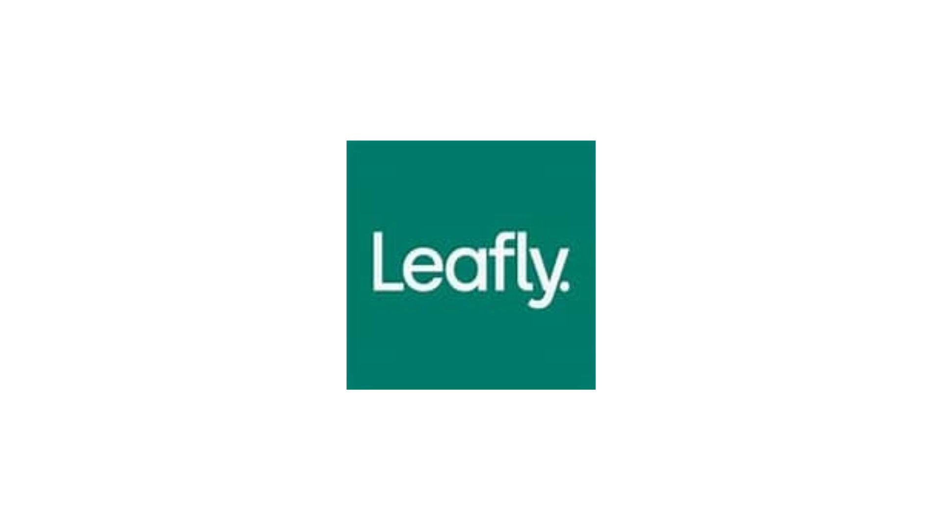 Leafly holiday gift guide 2022: Weed gifts for everyone