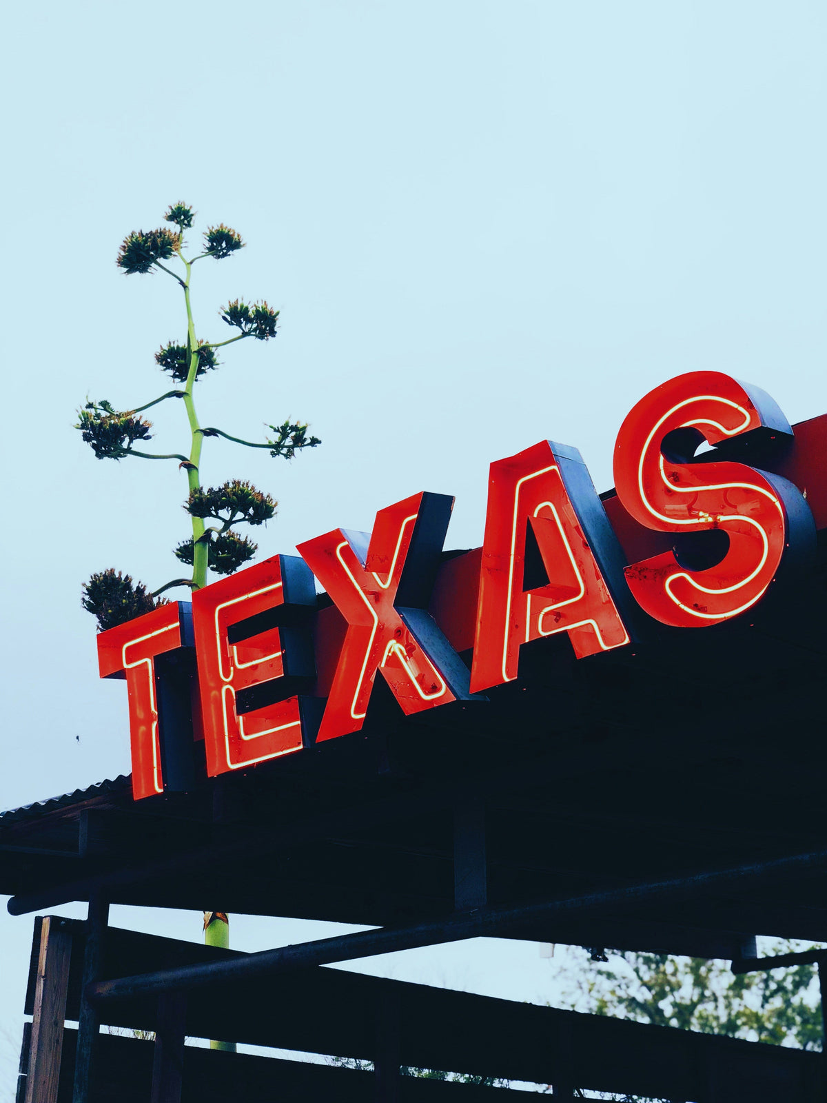 Navigating the Shift: What You Need to Know About the Latest Texas and Federal Cannabis Laws