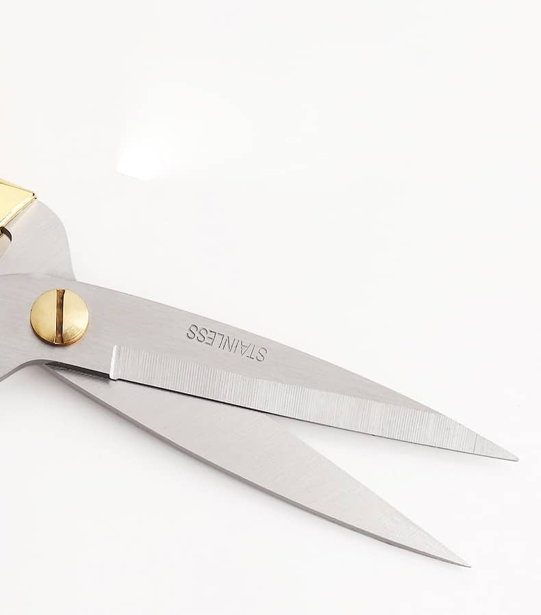 Close-up of Rogue Paq bonsai scissors showing sharp stainless steel blades and contrast rivet
